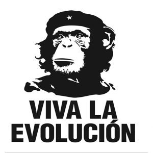 Evolution-themed t-shirt, Monkey graphic t-shirt, Cool star cap design, Funny animal t-shirt, Unique statement tee, Casual graphic t-shirt, Trendy evolution shirt, Unisex graphic tee