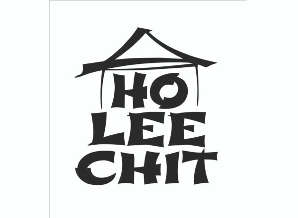 Funny Chinese Font T-Shirt, Ho Lee Chit Shirt, Asian Meme T-Shirt, Kung Fu Comedy Tee, Chinese Calligraphy T-Shirt, Trendy Humor Apparel, Unique Statement Tee
